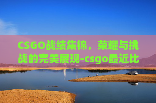 CSGO战绩集锦，荣耀与挑战的完美展现-csgo最近比赛战绩