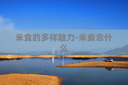 米食的多样魅力-米食念什么
