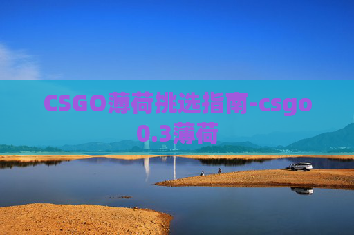CSGO薄荷挑选指南-csgo0.3薄荷