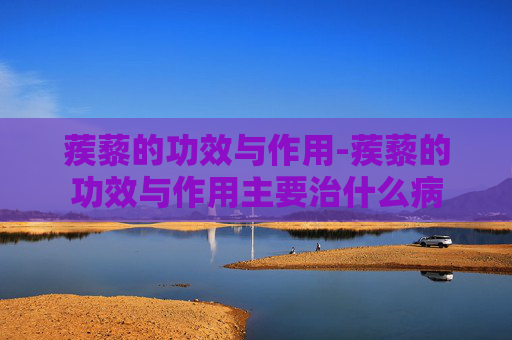 蒺藜的功效与作用-蒺藜的功效与作用主要治什么病