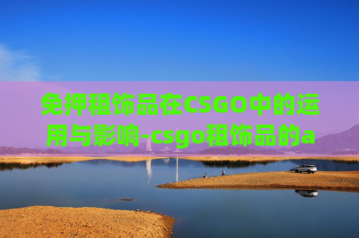 免押租饰品在CSGO中的运用与影响-csgo租饰品的app哪个好