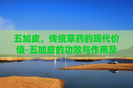 五加皮，传统草药的现代价值-五加皮的功效与作用及食用方法