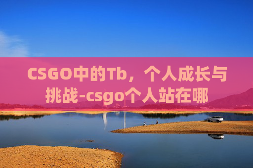 CSGO中的Tb，个人成长与挑战-csgo个人站在哪