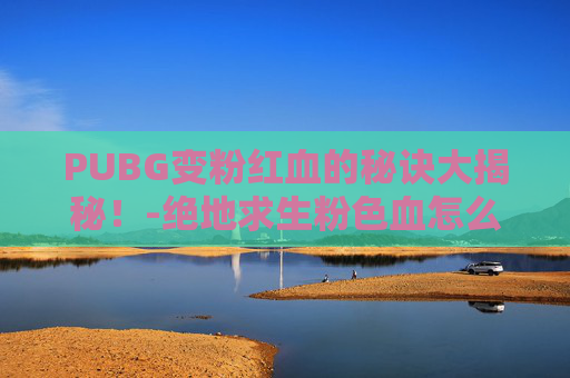PUBG变粉红血的秘诀大揭秘！-绝地求生粉色血怎么调