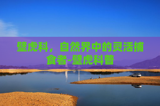 壁虎科，自然界中的灵活捕食者-壁虎科普