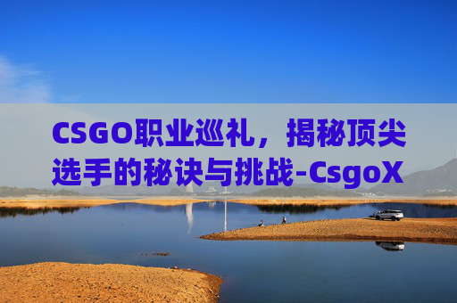 CSGO职业巡礼，揭秘顶尖选手的秘诀与挑战-CsgoXSE职业联赛