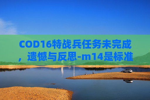 COD16特战兵任务未完成，遗憾与反思-m14是标准件螺栓吗