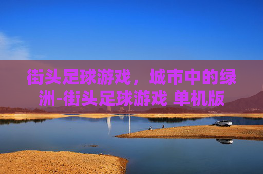 街头足球游戏，城市中的绿洲-街头足球游戏 单机版