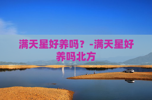 满天星好养吗？-满天星好养吗北方