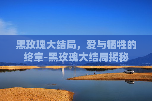 黑玫瑰大结局，爱与牺牲的终章-黑玫瑰大结局揭秘