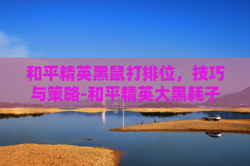 和平精英黑鼠打排位，技巧与策略-和平精英大黑耗子