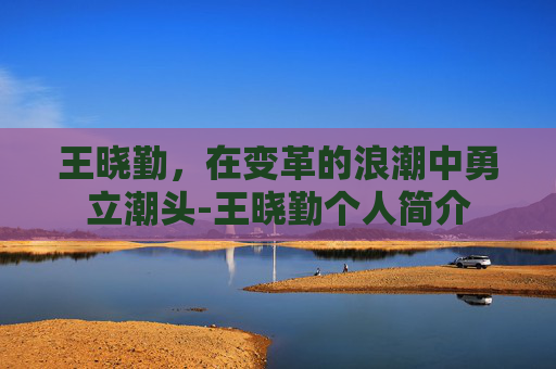 王晓勤，在变革的浪潮中勇立潮头-王晓勤个人简介