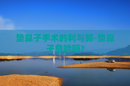垫鼻子手术的利与弊-垫鼻子危险吗?