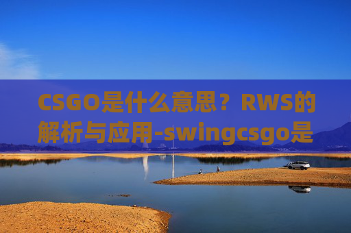 CSGO是什么意思？RWS的解析与应用-swingcsgo是什么意思