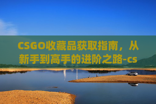 CSGO收藏品获取指南，从新手到高手的进阶之路-csgo饰品收藏指南