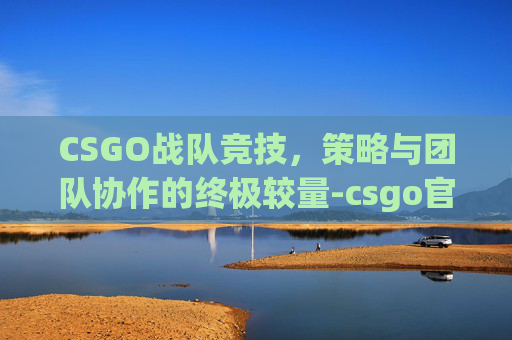 CSGO战队竞技，策略与团队协作的终极较量-csgo官匹竞技