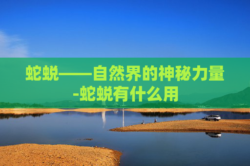 蛇蜕——自然界的神秘力量-蛇蜕有什么用