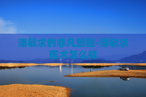 潘敏求的非凡旅程-潘敏求医术怎么样