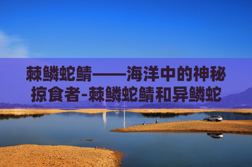 棘鳞蛇鲭——海洋中的神秘掠食者-棘鳞蛇鲭和异鳞蛇鲭