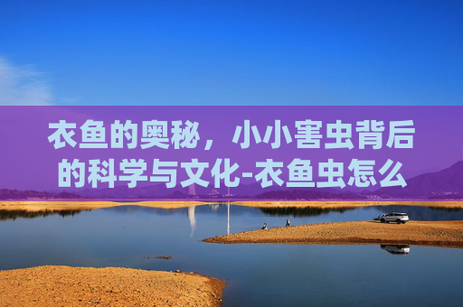 衣鱼的奥秘，小小害虫背后的科学与文化-衣鱼虫怎么来的