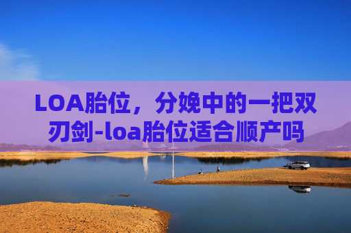 LOA胎位，分娩中的一把双刃剑-loa胎位适合顺产吗