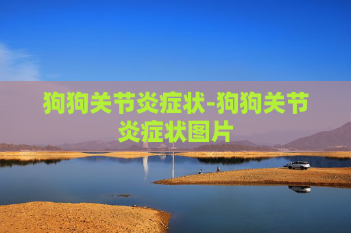 狗狗关节炎症状-狗狗关节炎症状图片