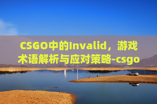 CSGO中的Invalid，游戏术语解析与应对策略-csgoinvalid