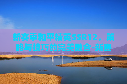新赛季和平精英SSR12，策略与技巧的完美融合-新赛季和平精英ss12赛季时间