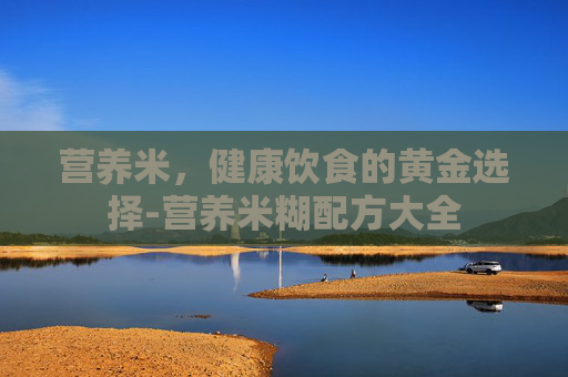 营养米，健康饮食的黄金选择-营养米糊配方大全
