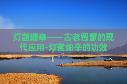 灯盏细辛——古老智慧的现代应用-灯盏细辛的功效