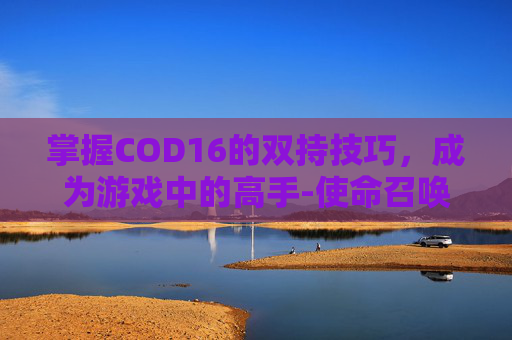 掌握COD16的双持技巧，成为游戏中的高手-使命召唤16双持