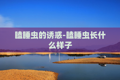 瞌睡虫的诱惑-瞌睡虫长什么样子