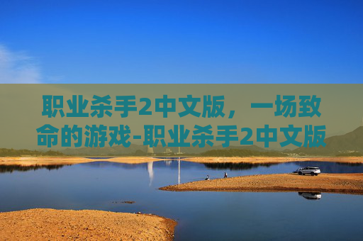 职业杀手2中文版，一场致命的游戏-职业杀手2中文版在线观看
