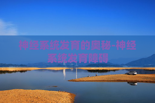 神经系统发育的奥秘-神经系统发育障碍