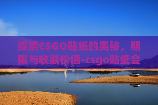 探索CSGO贴纸的奥秘，期限与收藏价值-csgo贴纸会越来越贵吗
