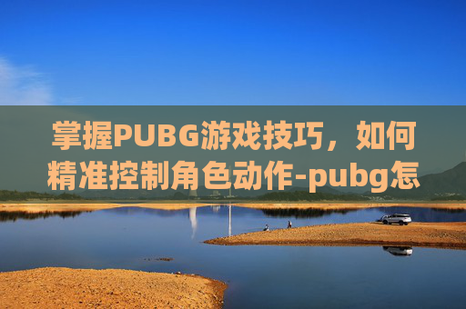 掌握PUBG游戏技巧，如何精准控制角色动作-pubg怎么动作