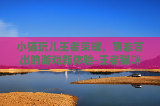 小猫玩儿王者荣耀，萌态百出的游戏新体验-王者猫咪怎么玩