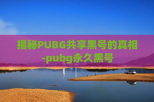 揭秘PUBG共享黑号的真相-pubg永久黑号