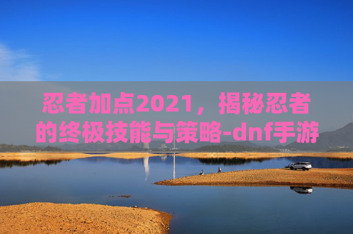 忍者加点2021，揭秘忍者的终极技能与策略-dnf手游忍者加点