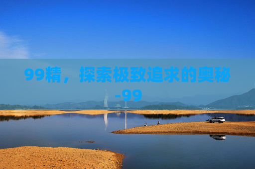 99精，探索极致追求的奥秘-99