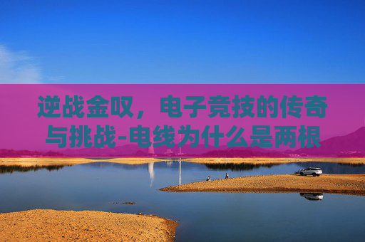 逆战金叹，电子竞技的传奇与挑战-电线为什么是两根