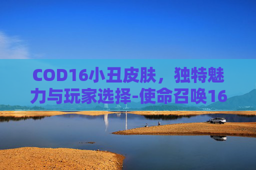 COD16小丑皮肤，独特魅力与玩家选择-使命召唤16小丑皮肤