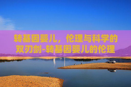 转基因婴儿，伦理与科学的双刃剑-转基因婴儿的伦理问题