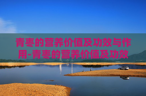 青枣的营养价值及功效与作用-青枣的营养价值及功效与作用是什么