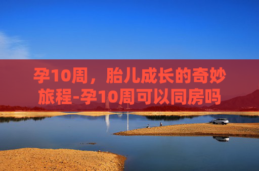 孕10周，胎儿成长的奇妙旅程-孕10周可以同房吗