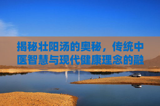 揭秘壮阳汤的奥秘，传统中医智慧与现代健康理念的融合-壮阳汤有哪些
