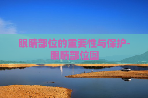 眼睛部位的重要性与保护-眼睛部位图