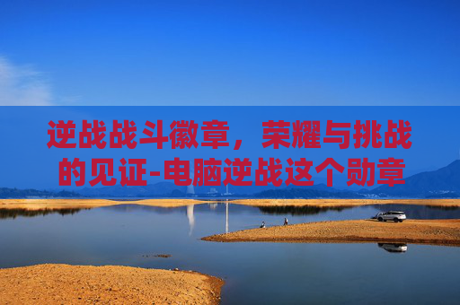 逆战战斗徽章，荣耀与挑战的见证-电脑逆战这个勋章怎么能获得高级勋章