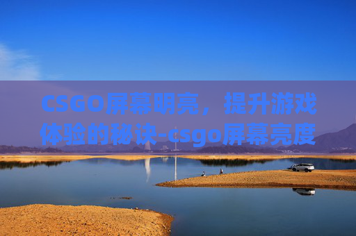 CSGO屏幕明亮，提升游戏体验的秘诀-csgo屏幕亮度代码