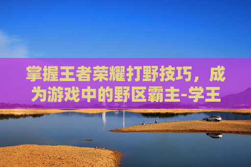 掌握王者荣耀打野技巧，成为游戏中的野区霸主-学王者荣耀打野教学在哪里学